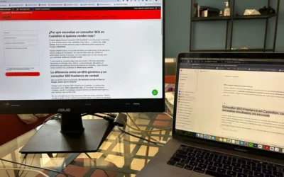 Consultor SEO Freelance en Castellón: cuando necesitas resultados, no excusas